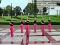 2013怀宁文化广场舞 俄罗斯舞曲截图