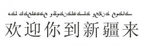 常用维吾尔语口语教学片（共10集）截图